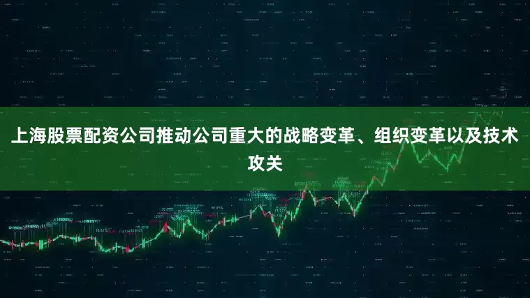 上海股票配资公司推动公司重大的战略变革、组织变革以及技术攻关